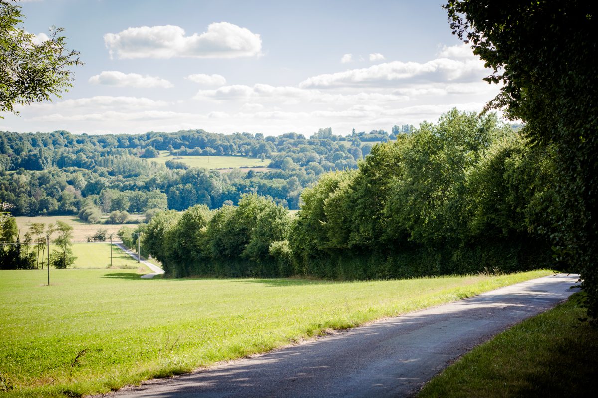 Route du Perche avec au fond les collines forestières