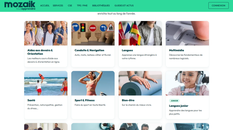 Page d'accueil du site Mozaik