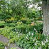 Paysagiste entretien de jardins Rémalard en Perche