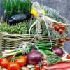 Légumes et fruits bio Rémalard en Perche